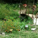 Valdericarte